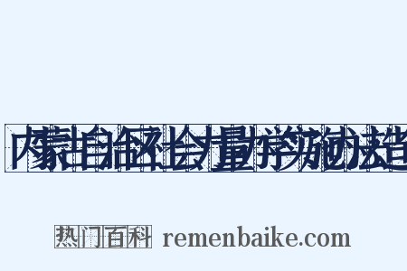 内蒙古自治区社会力量办学实施办法造句是什么意思的图片